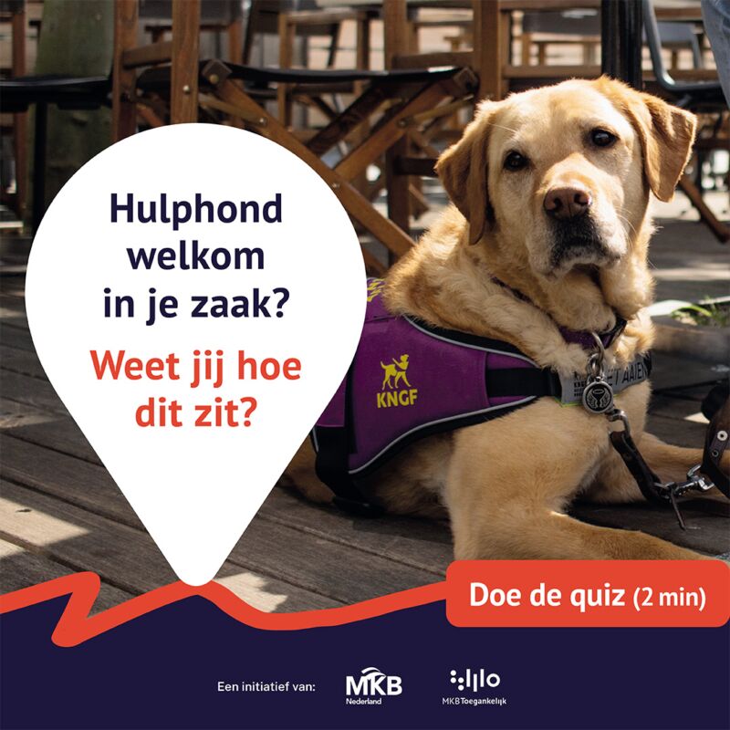 Hulphond in je zaak? Test je kennis in 2 minuten